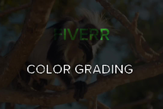 do cinematic color grading and editing to elevate your video