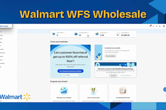 manage your walmart wfs wholesale store with product research and setup