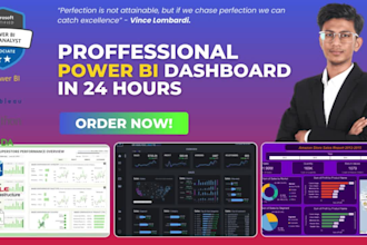build professional dashboard in power bi and tableau