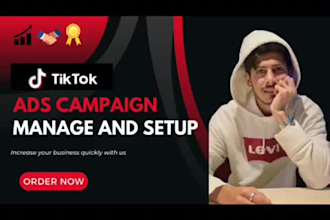 run tiktok ads, tiktok marketing and tiktok ads manager