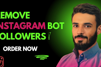 remove fake, bot and ghost followers from your instagram