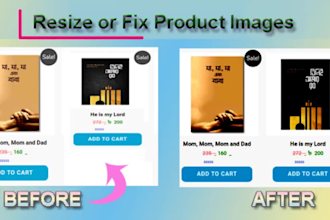 resize, fix and professionally optimize any website image