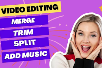 split and merge video