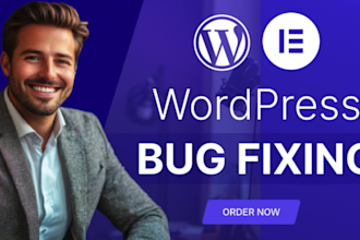 fix wordpress issues, elementor pro bugs, and provide a fast wordpress fix