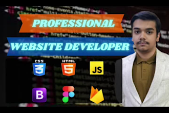 create custom js animated and responsive business websites