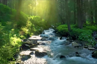 make HD relaxing, meditation music videos with nature sounds