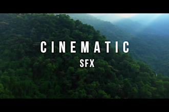 manage cinematic look speed ramping video with sound effects