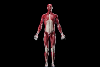 create 3d medical animation 3d human body anatomy 3d pathology anatomy model