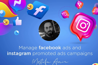 manage facebook ads and instagram promoted ad campaigns