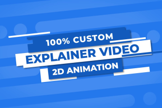create a custom 2d animated explainer video