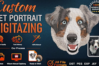 do professional manual pet embroidery digitizing