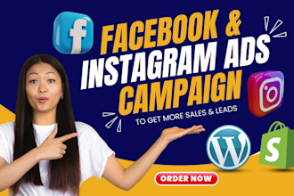 setup facebook and instagram ads campaign, shopify fb ads for 3x sales and leads