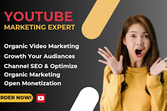 do youtube marketing and promotion for organic channel growth