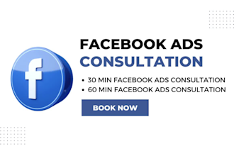 do facebook ads consultation