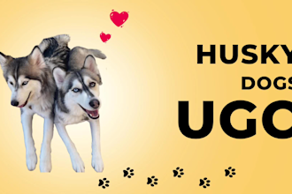create dog ugc video ads for facebook, instagram, and tiktok