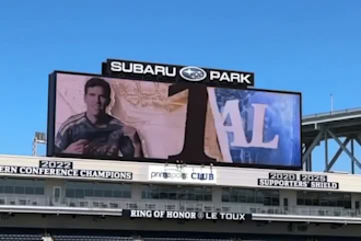 stadium led billboard loopable video ads, stadium video, digital billboard ads