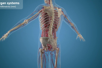 do 3d medical moa animation dna animation 3d molecular biology scientific video