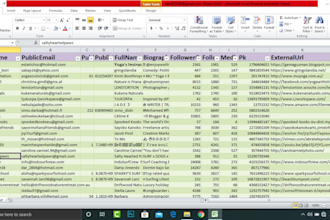do data entry, web research, data extraction, data mining