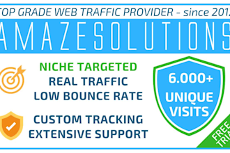 bring real visitors, targeted web traffic, 24h activation