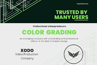 color grading and color adjustment to your video in 6 hours