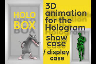 do video for holographic display box