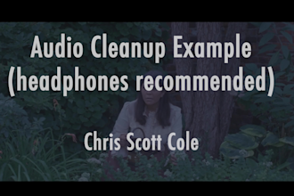 fix and or edit audio for your podcast, film, live music, or other recording