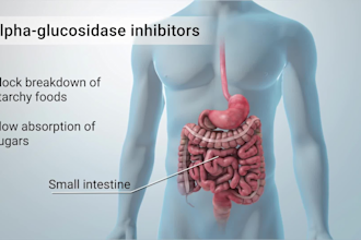 do 3d medical animation pharma moa biotech scientific video 3d anatomy explainer