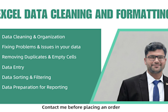 do excel data cleaning, formatting, and visualization professionally