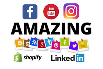 setup and run shopify facebook ads,instagram ads campaign for grow your business