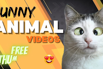 create funny animal compilation videos for youtube and fb