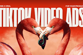 create viral tiktok ads with perfect hook
