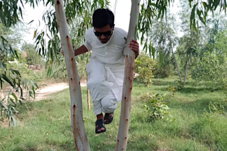 wish african happy birthday video or indian happy birthday video