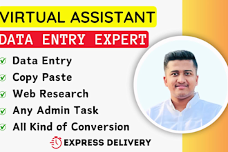 be virtual assistant for data entry typing work job, PDF to excel data entry