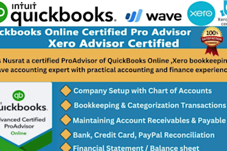 do quickbooks online bookkeeping, quickbooks clean up, xero bookkeeping, wave