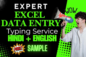 provide expert data entry, excel, web research, and hindi typing services