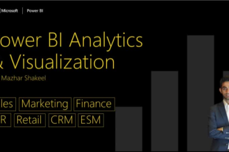 do expert power bi data analysis visualization and reporting