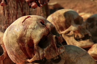 offer high quality 3d cgi animation, 3d vfx animation, cgi character, 3d trailer