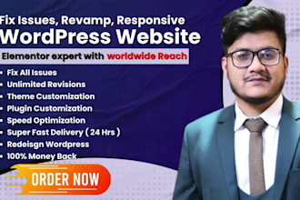 fix css issues redesign revamp customize wordpress website