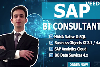 develop a sap sql data and sap analytics cloud dashboard