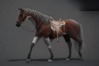 create 3d animal model, animal animation, xgen hair, realistic fur, 3d rigging