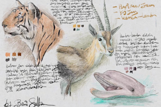 draw wild life in scientific illustration with pencil
