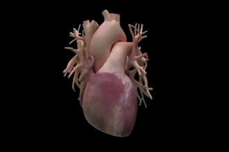 create 3d medical animation medical explainer videos 3d pharmaceutical animation