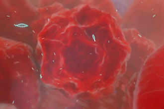 create realistic 3d moa animation and pharmaceutical explainer video