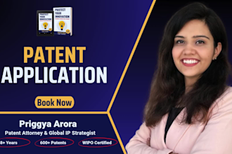 draft a patent application that brings investment opportunities