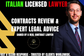 review contracts, nda, terms and conditions, privacy policy as licensed lawyer