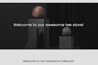 design, develop, and edit a professional squarespace website