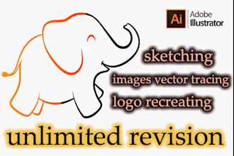 do professional vector tracing services, convert raster to vector