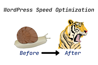 do wordpress speed optimization