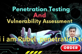 provide penetration testing and vulnerability assessment owasp security audit