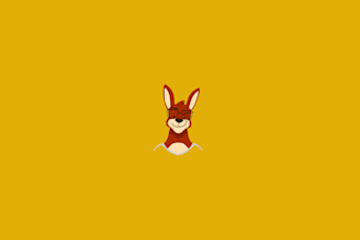 make custom explainer videos for you